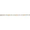 EUROLITE LED IP Strip 600 5m 2835 4000K 24V
