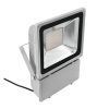 EUROLITE LED IP FL-100 3000K