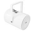OMNITRONIC PS-30 Projector Speaker