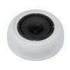 OMNITRONIC DAL-2 Ceiling Speaker