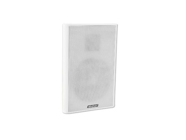OMNITRONIC FPS-5 PA Wall Speaker
