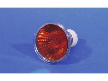 OMNILUX GU-10 230V/50W 1500h 25° red