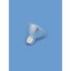 OMNILUX MR-16 24V/75W GX-5.3 SP 12° EYF