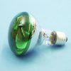 OMNILUX R80 230V/60W E-27 green