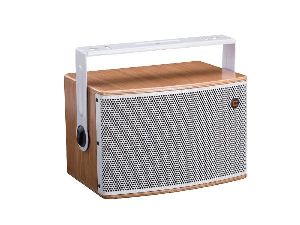 CELTO ACOUSTIQUE iFIX7 2-Way Coaxial Speaker natural/white