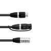 EUROLITE Adapter Cable DMX IP XLR 3pol(m)/2xIP XLR 3pol(f)