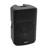 OMNITRONIC VFM-215 MK2 2-way Speaker